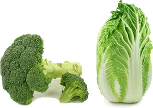 Fresh Broccoliand Cabbage PNG Image