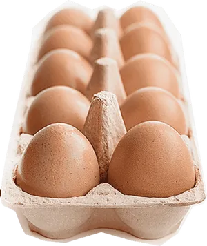 Fresh Brown Eggsin Carton PNG Image