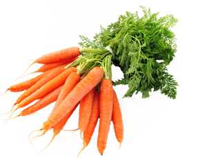 Fresh Bunchof Carrots.png PNG image with transparent background