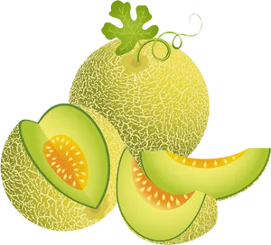 Fresh Cantaloupeand Slices Vector PNG Image