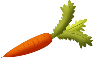 Fresh Carrot Illustration.png PNG image with transparent background