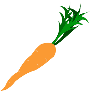 Fresh Carrot Illustration.png PNG image with transparent background
