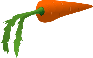 Fresh Carrot Illustration.png PNG image with transparent background
