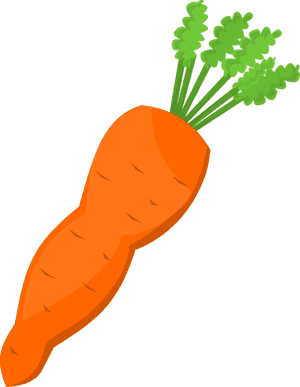 Fresh Carrot Illustration.png PNG image with transparent background