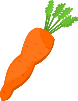 Fresh Carrot Illustration.png PNG Image