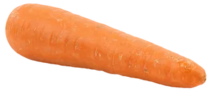 Fresh Carrot Isolated.png PNG Image