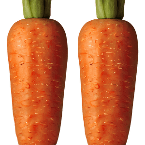 Fresh Carrot PNG 34 PNG image with transparent background