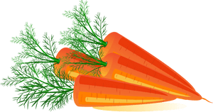 Fresh Carrot Slices Illustration PNG image with transparent background