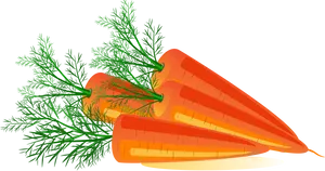 Fresh Carrot Slices Illustration PNG Image