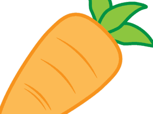Fresh Carrot Vector Illustration PNG image with transparent background