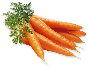 Fresh Carrots Bunch.png PNG image with transparent background