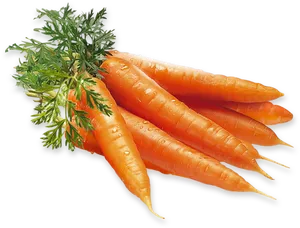 Fresh Carrots Bunch.png PNG Image