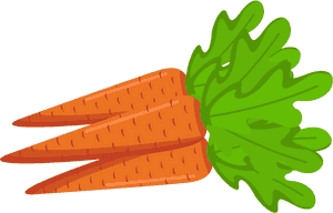 Fresh Carrots Illustration PNG image with transparent background