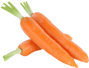 Fresh Carrots Isolated.png PNG image with transparent background