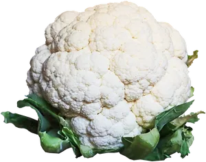 Fresh Cauliflower Isolated.png PNG Image