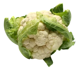 Fresh Cauliflower Isolated.png PNG Image