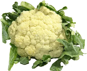 Fresh Cauliflower With Green Leaves.png PNG Image