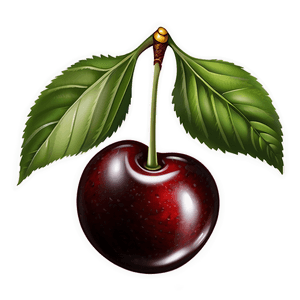 Fresh Cherry PNG 05212024 PNG image with transparent background