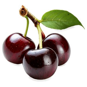 Fresh Cherry PNG 72 PNG image with transparent background