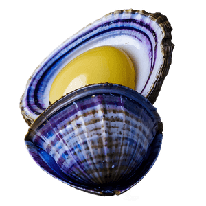 Fresh Clam PNG trl PNG image with transparent background