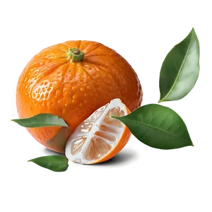 Fresh Clementine Segment Png Ino72 PNG Image