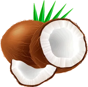 Fresh Coconut Half Illustration PNG Image