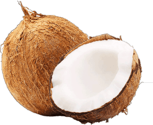 Coconut Each - Coconut Water Related Words, HD Png Download PNG with transparent background