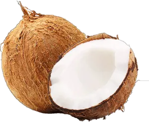 Fresh Coconut Half Transparent Background PNG Image