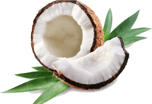 Coconut Free Download Png - Coconut Transparent, Png Download PNG with transparent background