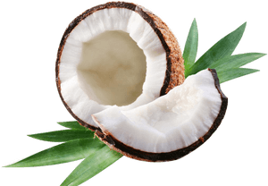 Coconut Water Coconut Milk Coconut Oil Axe7axed Na - Transparent Png Coconut Png, Png Download PNG image with transparent background