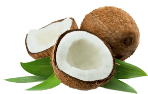 Coconut Thenarasu - Coconut Indian, HD Png Download PNG with transparent background