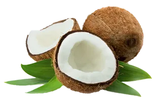 Fresh Coconut Halves Green Leaves PNG Image