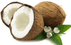 Download Coconut Png - Coconut Png, Transparent Png PNG with transparent background