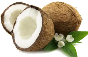 Fresh Coconut Halveswith Flowers PNG Image