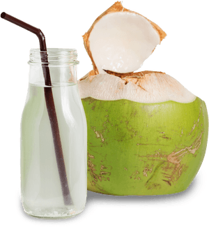Transparent Coconut Png Images - Transparent Coconut Water Png, Png Download PNG with transparent background