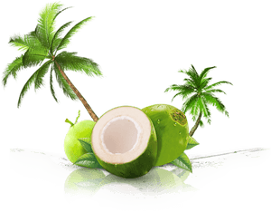 Thenarasu Tender Coconut - Transparent Coconut Juice Png, Png Download PNG with transparent background