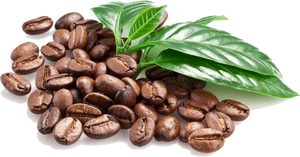 Coffee Bean Espresso Caffxe8 Macchiato - Coffee Bean Png File, Transparent Png PNG image with transparent background