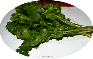 Coriander, HD Png Download PNG with transparent background