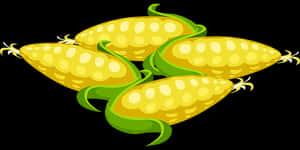 Fresh Corn Cobs Illustration PNG image with transparent background
