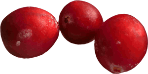 Cranberries Png Image - Cranberries Png, Transparent Png PNG with transparent background