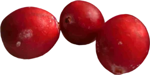 Fresh Cranberries Closeup.png PNG Image