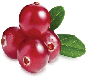Cranberry Lamberts , Png Download - Cranberry White Background, Transparent Png PNG with transparent background
