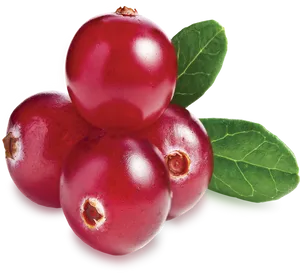 Fresh Cranberrieswith Leaf.png PNG Image