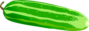 Nice Clip Art - Cucumber Clipart, HD Png Download PNG image with transparent background