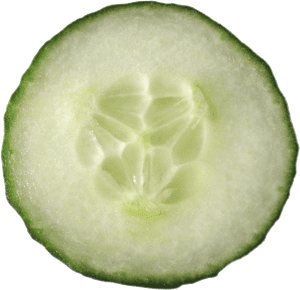 Cucumbers Png Image - Transparent Background Cucumber Slice Png, Png Download PNG image with transparent background