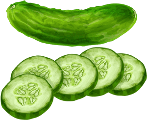 Cucumber Vegetable Clip Art - Transparent Background Cucumber Png, Png Download PNG image with transparent background