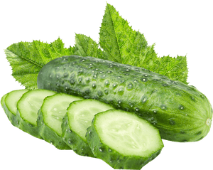Cucumber Png Free, Transparent Png PNG image with transparent background