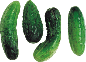 Cucumber Png Image - Portable Network Graphics, Transparent Png PNG image with transparent background