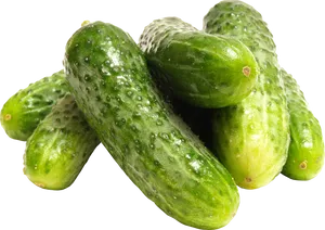 Fresh Cucumbers Isolated.png PNG Image