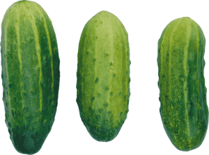 Cucumbers Png Image - Cucumber Clipart, Transparent Png PNG image with transparent background